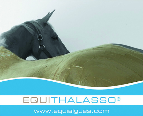 Logo EQUITHALASSO