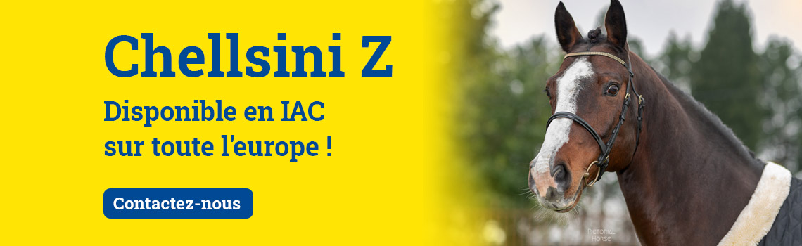 Chellsini Z - Disponible en IAC sur toute l'europe